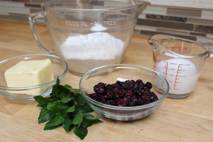 Gluten free flour blend, coconut milk, butter, fresh mint and black raspberries ready to be made into scones.
